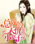 总裁的天价小妻子txt汀小紫