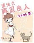 重生之再遇良人 木子晓风