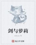 剑与少年游戏