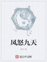凤汔九天